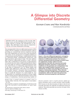 A Glimpse Into Discrete Differential Geometry