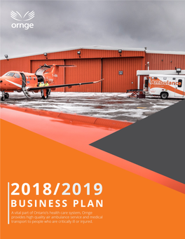 DRAFT 2018/2019 Business Plan