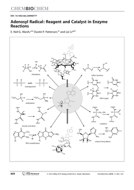 Adenosyl Radical: Reagent and Catalyst in Enzyme Reactions E