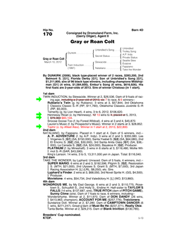 170 (Gerry Dilger), Agent II Gray Or Roan Colt