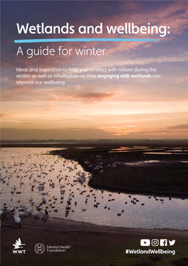 Wetlands and Wellbeing: a Guide for Winter