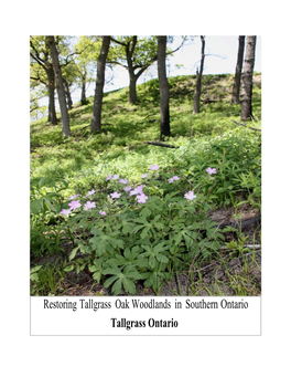 Restoring Tallgrass Oak Woodlands in Southern Ontario