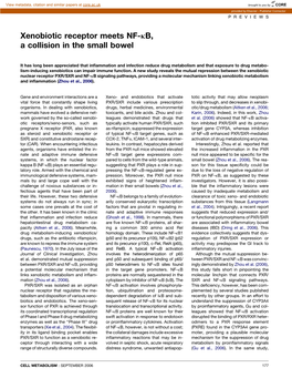 Xenobiotic Receptor Meets NF-Kb, a Collision in the Small Bowel