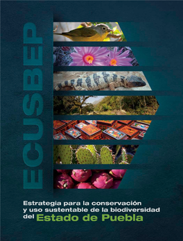 Estrategia Para La Conservación Y Uso Sustentable De La Biodiversidad Del Estado De Puebla