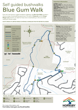 Blue Gum Walk: 4Km