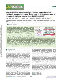 Effects of Pectin Molecular Weight Changes on the Structure