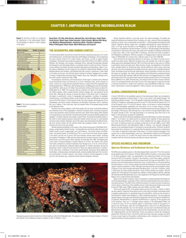 Chapter 7. Amphibians of the Indomalayan Realm
