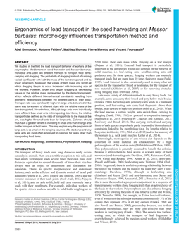 Messor Barbarus: Morphology Influences Transportation Method and Efficiency Abel Bernadou*, Antoine Felden‡, Mathieu Moreau, Pierre Moretto and Vincent Fourcassié§