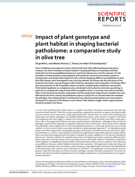 Impact of Plant Genotype and Plant Habitat in Shaping Bacterial Pathobiome: a Comparative Study in Olive Tree