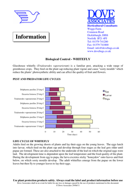 Biological Control - WHITEFLY