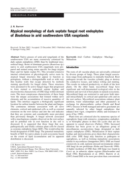 Atypical Morphology Variation of Dark Septate Fungal Root Endophytes Of