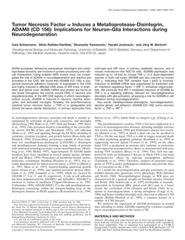 Tumor Necrosis Factor Α Induces a Metalloprotease-Disintegrin, ADAM8