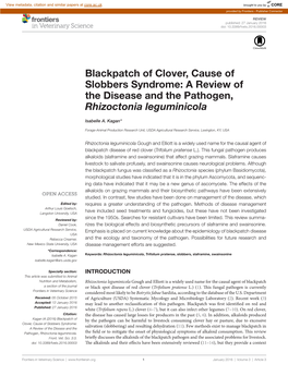 Blackpatch of Clover, Cause of Slobbers Syndrome: a Review of the Disease and the Pathogen, Rhizoctonia Leguminicola