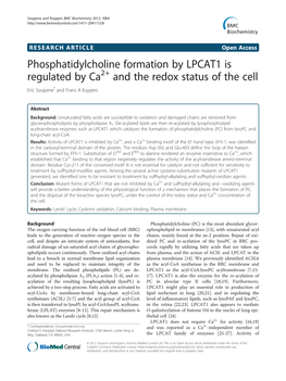 Phosphatidylcholine Formation by LPCAT1 Is Regulated by Ca and The