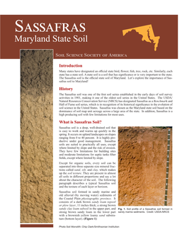 Sassafras Maryland State Soil