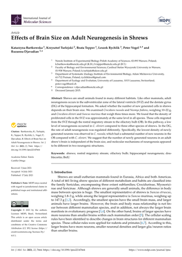 Effects of Brain Size on Adult Neurogenesis in Shrews