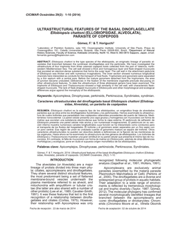 ULTRASTRUCTURAL FEATURES of the BASAL DINOFLAGELLATE Ellobiopsis Chattoni (ELLOBIOPSIDAE, ALVEOLATA), PARASITE of COPEPODS