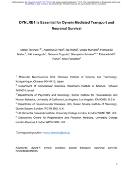 DYNLRB1 Is Essential for Dynein Mediated Transport and Neuronal Survival