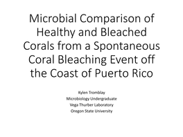 Microbial Comparison of Healthy and Bleached Corals from a Spontaneous Coral Bleaching Event Off the Coast of Puerto Rico