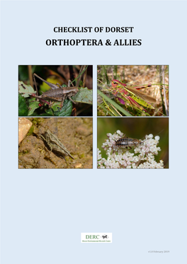 Checklist of Dorset Orthoptera and Allies