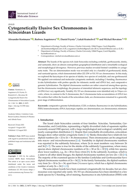 Cytogenetically Elusive Sex Chromosomes in Scincoidean Lizards