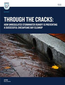 Through-Cracks-Stormwater-Runoff-Chesapeake-Bay-Report.Pdf