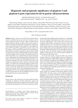 Diagnostic and Prognostic Significance of Glypican 5 and Glypican 6 Gene Expression Levels in Gastric Adenocarcinoma