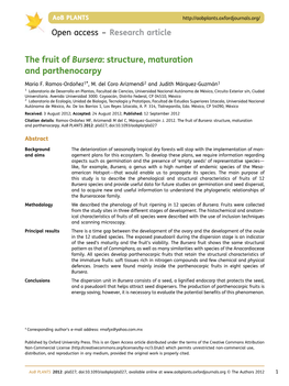 The Fruit of Bursera: Structure, Maturation and Parthenocarpy