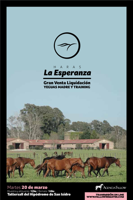 Martes 20 De Marzo Muestra Y Almuerzo: 12Hs / Remate: 14Hs Tattersall Del Hipódromo De San Isidro Ídolo Porteño Jump Start En Idealidad (Roy)