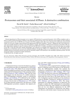 Proteasomes and Their Associated Atpases: a Destructive Combination