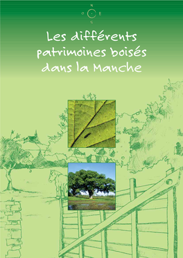 Les Différents Patrimoines Boisés Dans La Manche Sommaire