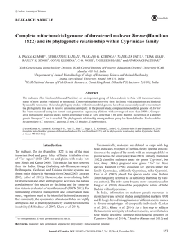 Complete Mitochondrial Genome of Threatened Mahseer Tor Tor (Hamilton 1822) and Its Phylogenetic Relationship Within Cyprinidae Family