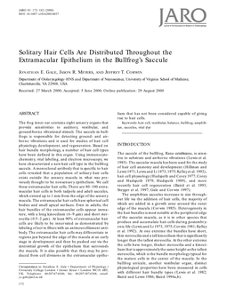 Solitary Hair Cells Are Distributed Throughout the Extramacular Epithelium in the Bullfrog’S Saccule