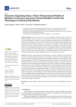 Paracrine Signaling from a Three-Dimensional Model of Bladder Carcinoma and from Normal Bladder Switch the Phenotype of Stromal Fibroblasts