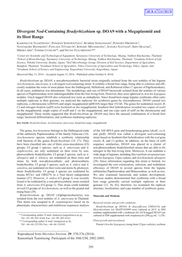 Divergent Nod-Containing Bradyrhizobium Sp. DOA9 with a Megaplasmid and Its Host Range