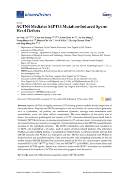 ACTN4 Mediates SEPT14 Mutation-Induced Sperm Head Defects