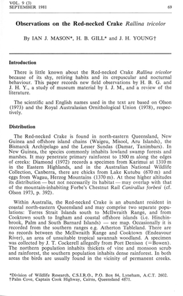 Observations on the Red-Necked Crake Rallina Tricolor