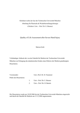 Quality of Life Assessment After Severe Hand Injury