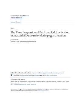 The Time Progression of Bub1 and Cdc2 Activation in Zebrafish (Danio