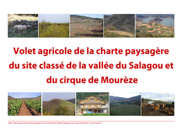 Volet Agricole De La Charte Paysagère Du Site Classé De La Vallée Du