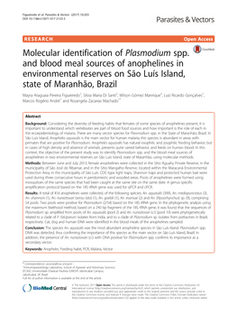 Molecular Identification of Plasmodium Spp