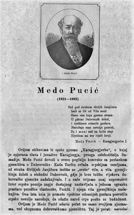 Medo Pucic (1821—1882)