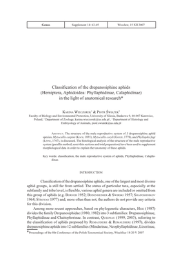 Classification of the Drepanosiphine Aphids (Hemiptera, Aphidoidea: Phyllaphidinae, Calaphidinae) in the Light of Anatomical Research*