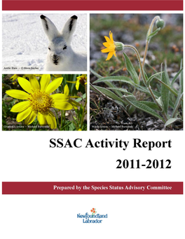 Ssacannualactivityreport2011-12
