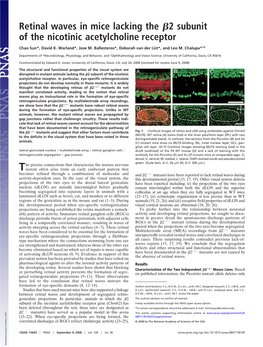 Retinal Waves in Mice Lacking the 2 Subunit of the Nicotinic