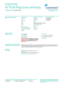 ACTR1B Polyclonal Antibody