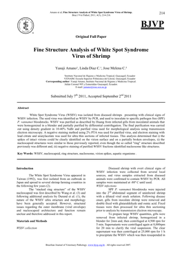 Fine Structure Analysis of White Spot Syndrome Virus of Shrimp