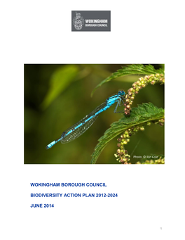 Wokingham Borough Council Biodiversity Action Plan 2012-2024 June 2014