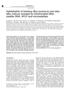 Hybridization of Banteng (Bos Javanicus) and Zebu (Bos Indicus) Revealed by Mitochondrial DNA, Satellite DNA, AFLP and Microsatellites