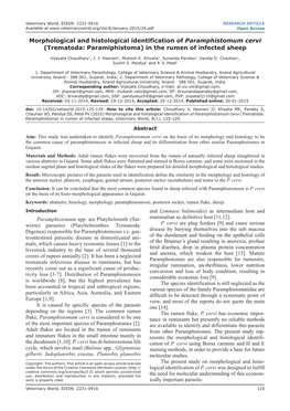 (Trematoda: Paramiphistoma) in the Rumen of Infected Sheep